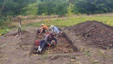 Археологічні розкопки трипільського поселення на Тернопільщині
