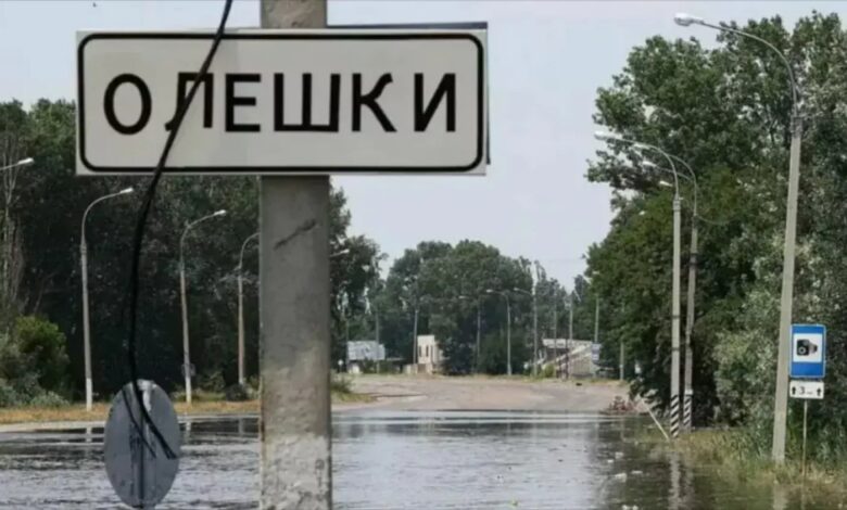 Продуктова допомога для жителів тимчасово окупованих Олешок