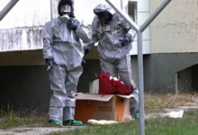 Букет троянд, після розпакування якого українку госпіталізували в Німеччині