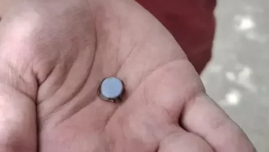 Рідкісний агат «ніколо», знайдений 12-річним Алоном Хоровіцем під час розкопок у Корозимі
