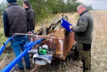 Пошкоджені дерева білої акації у полезахисній лісосмузі на Миколаївщині