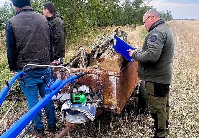 Пошкоджені дерева білої акації у полезахисній лісосмузі на Миколаївщині