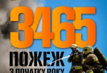 Пожежі на Миколаївщині та їхні наслідки