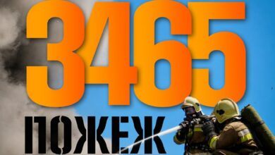 Пожежі на Миколаївщині та їхні наслідки