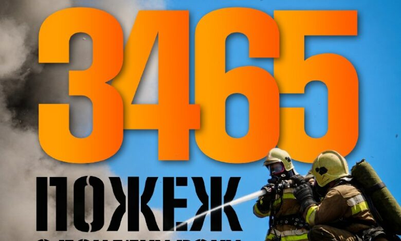 Пожежі на Миколаївщині та їхні наслідки
