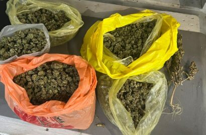 Вилучені кущі конопель і висушений канабіс на Миколаївщині