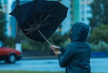 Сильний вітер у Миколаєві та області — попередження на 29 вересня