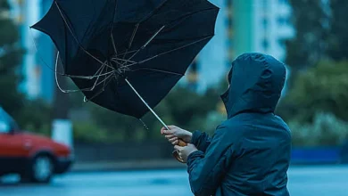 Сильний вітер у Миколаєві та області — попередження на 29 вересня