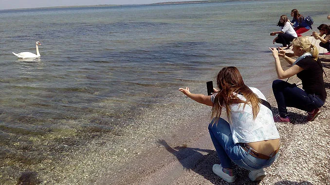 Чотири морські порти й зелена енергетика: Миколаївщина показала інвестиційні козирі