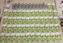 Фігуранти справи про підготовку незаконного переходу кордону зі Словаччиною