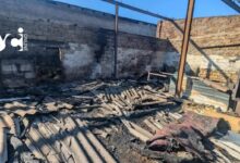 Знищений російською атакою притулок для тварин у Великодолинському