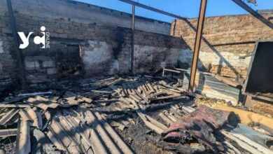 Знищений російською атакою притулок для тварин у Великодолинському