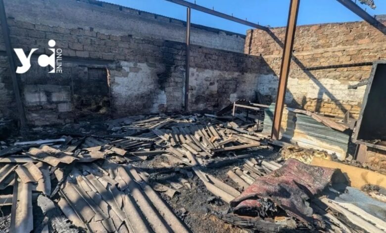 Знищений російською атакою притулок для тварин у Великодолинському