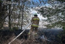 Рятувальники ліквідовують одну з пожеж на Миколаївщині
