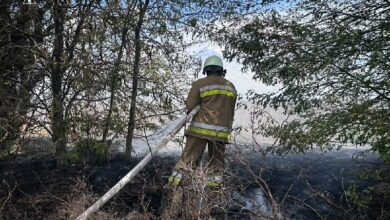 Рятувальники ліквідовують одну з пожеж на Миколаївщині