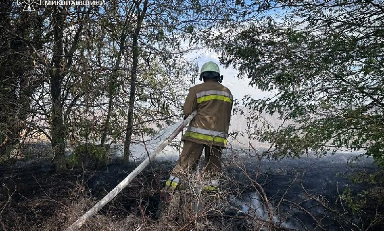 Рятувальники ліквідовують одну з пожеж на Миколаївщині