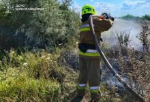 Рятувальники ліквідовують пожежі на Миколаївщині