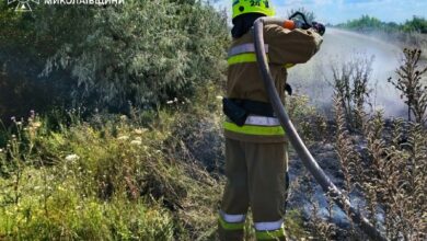 Рятувальники ліквідовують пожежі на Миколаївщині