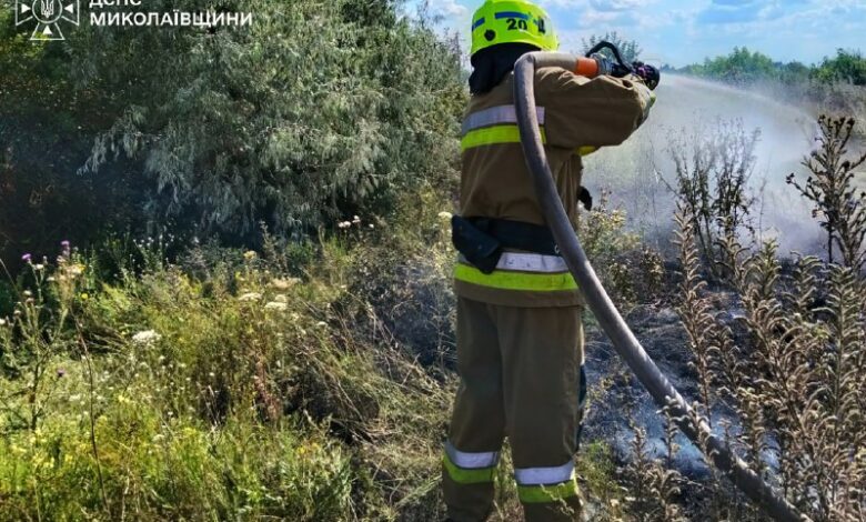 Рятувальники ліквідовують пожежі на Миколаївщині