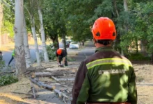 Територія та зелені насадження КП «Миколаївські парки» у Миколаєві