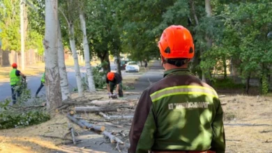 Територія та зелені насадження КП «Миколаївські парки» у Миколаєві