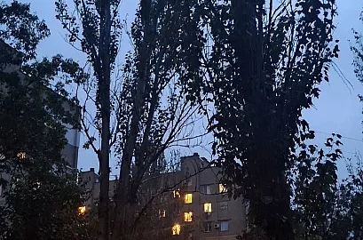 Тополі впали на припарковані автомобілі у дворі на 3-й Слобідській у Миколаєві