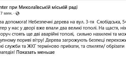 Тополі впали на припарковані автомобілі у дворі на 3-й Слобідській у Миколаєві