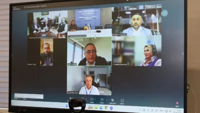 Онлайн-зустріч представників Миколаєва та Галаца щодо співпраці й спільних проєктів
