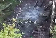 Ймовірне вбивство українських військовополонених на Гуляйпільському напрямку