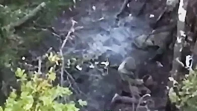Ймовірне вбивство українських військовополонених на Гуляйпільському напрямку