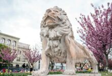 Фінансування закладів культури Миколаєва та нестача коштів на зарплати й комунальні платежі
