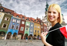 Видворення українського водія з Польщі після конфлікту з поліцейськими