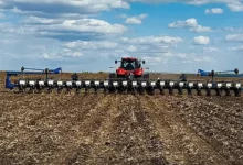 Посів озимих зернових під урожай 2027 року на Миколаївщині