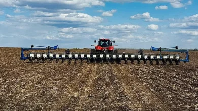 Посів озимих зернових під урожай 2027 року на Миколаївщині