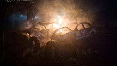Ліквідація пожеж на Миколаївщині