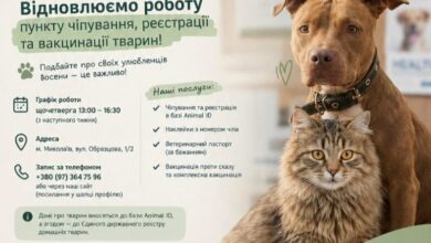 Відновлення роботи пункту чіпування, реєстрації та вакцинації домашніх тварин у Миколаєві