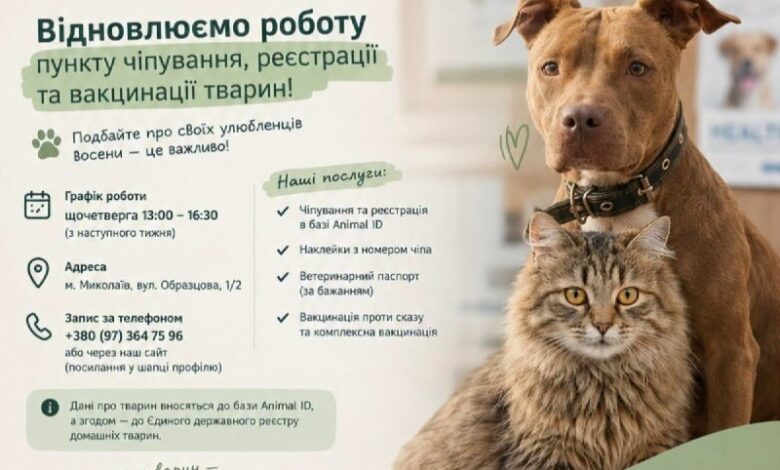 Відновлення роботи пункту чіпування, реєстрації та вакцинації домашніх тварин у Миколаєві