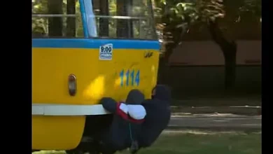 Небезпечний зацепінг за електротранспорт у Миколаєві