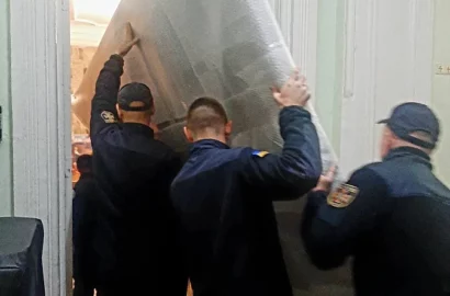 Повернення картини Альфонса Жаби «На пожежу» до Миколаївського художнього музею імені В. В. Верещагіна