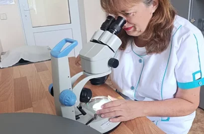 Азіатський тигровий комар Aedes albopictus