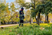 Впорядкування скверу «Університетський» у Миколаєві
