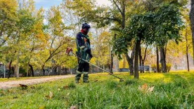 Впорядкування скверу «Університетський» у Миколаєві