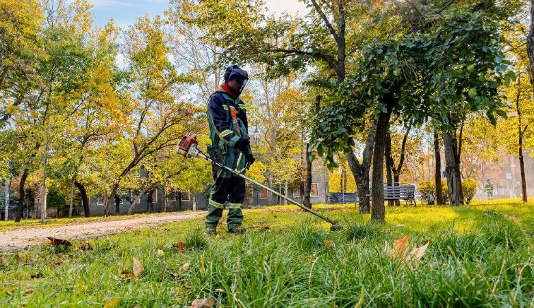 Впорядкування скверу «Університетський» у Миколаєві