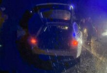 Смертельна ДТП за участю Audi A4 та пішохода поблизу Зайчівського на Миколаївщині