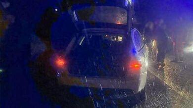 Смертельна ДТП за участю Audi A4 та пішохода поблизу Зайчівського на Миколаївщині