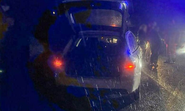 Смертельна ДТП за участю Audi A4 та пішохода поблизу Зайчівського на Миколаївщині
