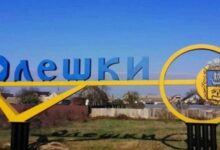 Голодування Піни Пічерно на підтримку мешканців окупованих Олешок