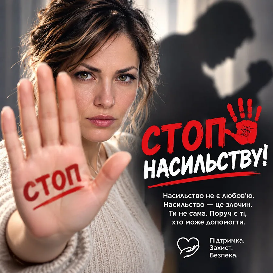 Домашнє насильство в Заводському районі Миколаєва