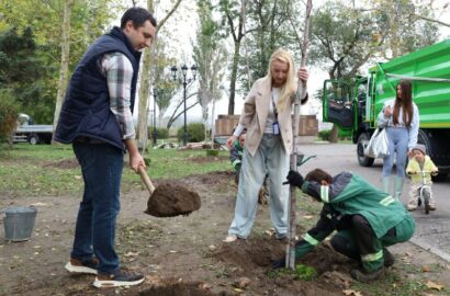 Висаджування молодих кленів і верб на Флотському бульварі в Миколаєві