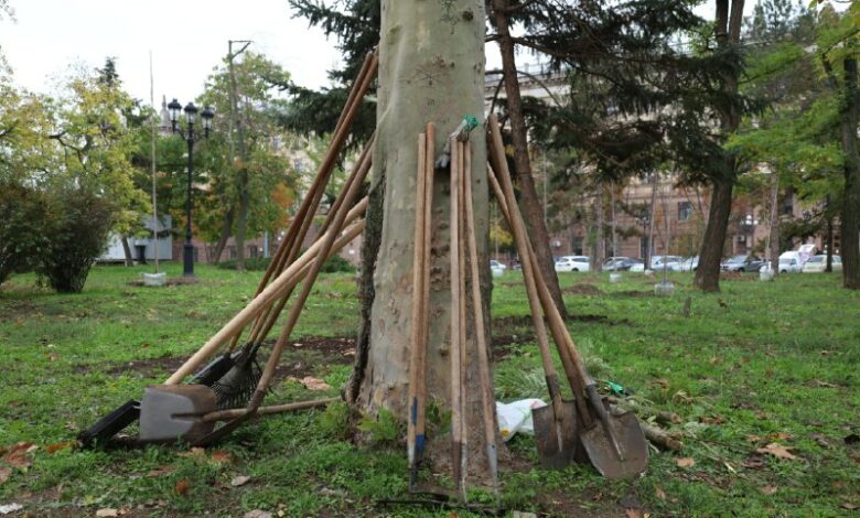 Висаджування молодих кленів і верб на Флотському бульварі в Миколаєві